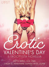 Erotic Valentine's Day - 6 eroottista novellia – E-bok – Laddas ner
