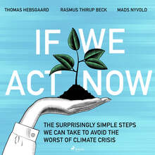 If We Act Now - the surprisingly simple steps we can take to avoid the worst of climate crisis – Ljudbok – Laddas ner