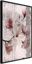 Inramad Poster / Tavla - Queen of Spring Flowers I - 20x30 Svart ram