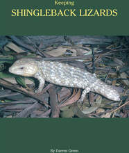 Keeping Shingleback Lizards – E-bok – Laddas ner