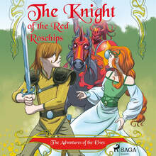 The Adventures of the Elves 1 – The Knight of the Red Rosehips – Ljudbok – Laddas ner