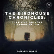 The Birdhouse Chronicles: Surviving the Joys of Country Life – Ljudbok – Laddas ner