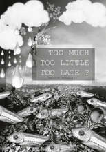Too Much Too Little Too Late ?: Sanaton kuvakirja – E-bok – Laddas ner
