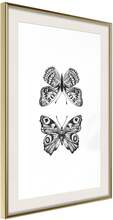 Inramad Poster / Tavla - Butterfly Collection I - 20x30 Guldram med passepartout
