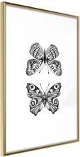 Inramad Poster / Tavla - Butterfly Collection I - 20x30 Guldram