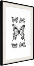 Inramad Poster / Tavla - Butterfly Collection IV - 20x30 Svart ram med passepartout