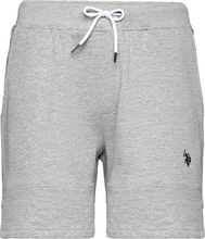 U.S. POLO ASSN. Cotton Shorts Grey