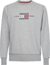 Tommy Hilfiger Line Logo Sweatshirt Grey