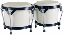 Hayman BG-405 Bongo White