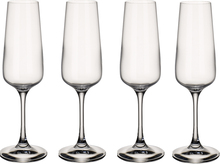 Villeroy & Boch - Ovid champagneglass 25 cl 4 stk