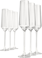 Table Top Stories - Celebration champagneglass 19 cl 6 stk