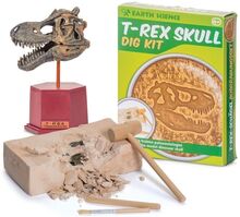 T-Rex kranium utgrävningskit