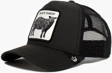 Black Sheep Trucker Black