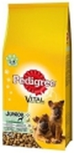 Pedigree Junior Maxi with chicken and rice, large breeds 15kg