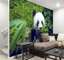 Bamboe dieren fotobehang panda