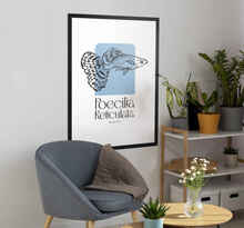 Poster van vis met zin "Poecilia Reticulata".