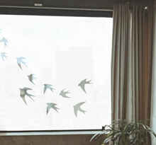 Muurstickers slaapkamer doorzichtige vogels