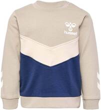 Hummel Skye sweatshirt til småbarn, silver lining