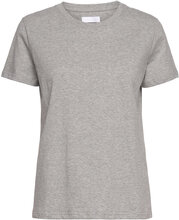 2Nd Pure T-shirts & Tops Short-sleeved Grå 2NDDAY*Betinget Tilbud