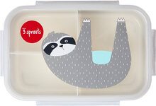 Lunch Box Home Meal Time Lunch Boxes Grey 3 Sprouts