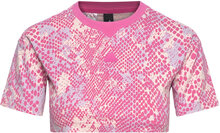 G Fi Aop T T-shirts Short-sleeved Rosa Adidas Sportswear*Betinget Tilbud