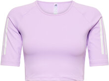 Hyperglam Training Crop T-Shirt Sport Crop Tops Short-sleeved Crop Tops Purple Adidas Performance
