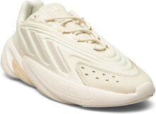 Ozelia Shoes Sport Sneakers Low-top Sneakers Beige Adidas Originals