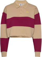 Adidas Originals Class Of 72 Crop Crew Sweatshirt Sport Sweatshirts & Hoodies Sweatshirts Multi/patterned Adidas Originals
