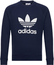 Adicolor Classics Trefoil Crewneck Sweatshirt Sport Sweatshirts & Hoodies Sweatshirts Navy Adidas Originals