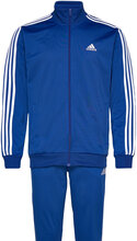 M 3S Tr Tt Ts Sport Sweat-shirts & Hoodies Tracksuits - Sets Blue Adidas Sportswear