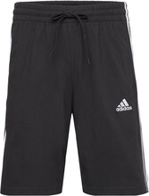 M 3S Sj 10 Sho Sport Shorts Sweat Shorts Black Adidas Sportswear