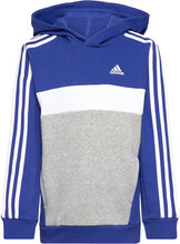 J 3S Tib Fl Hd Sport Sweatshirts & Hoodies Hoodies Blue Adidas Sportswear