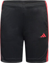 Train Essentials Aeroready 3-Stripes Regular-Fit Shorts Shorts Sport Shorts Svart Adidas Sportswear*Betinget Tilbud
