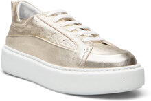 Classic Sneak Designers Sneakers Low-top Sneakers Gold Apair