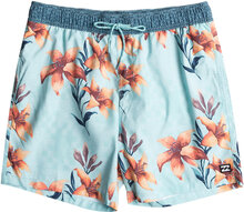 Vacay Lb Badshorts Blue Billabong