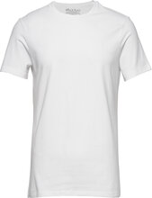 Crew-Neck Slim Tops T-shirts Short-sleeved White Bread & Boxers