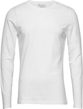 Long Sleeve Slim Tops T-shirts Long-sleeved White Bread & Boxers