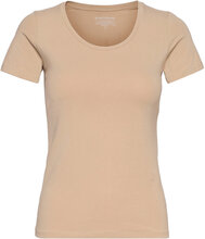 T-Shirt Cotton Stretch T-shirts & Tops Short-sleeved Beige Bread & Boxers*Betinget Tilbud