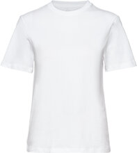 Crew Neck Regular Tops T-Kortærmet Skjorte White Bread & Boxers