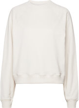 Sweatshirt Tops Sweatshirts & Hoodies Hoodies White Bread & Boxers