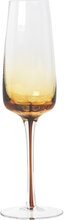 Champagne Glas 'Amber' Glas Home Tableware Glass Champagne Glass Nude Broste Copenhagen