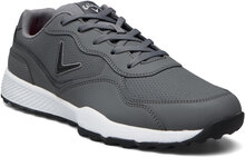 The 82 Shoes Sport Shoes Golf Shoes Grey Callaway