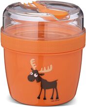 N'ice Cup - L, Kids, Lunch Box With Cooling Disc - Orange Home Meal Time Lunch Boxes Orange Carl Oscar