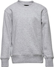 Claudio Boys Sweatshirt Tops Sweatshirts & Hoodies Sweatshirts Grey Claudio