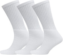 Claudio Socks Tennis 3-Pack Underwear Socks Regular Socks White Claudio