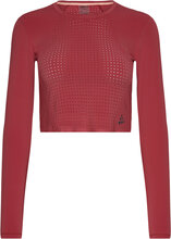 Adv Hit Cropped Top W Sport Crop Tops Long-sleeved Crop Tops Red Craft