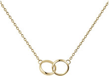 Elan Unity Necklace G Accessories Jewellery Necklaces Chain Necklaces Gold Daniel Wellington