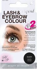 Lash/Eyebrow Col. Black Se/Fi Beauty Women Makeup Eyes Eyebrows Eyebrow Colour Nude Depend Cosmetic