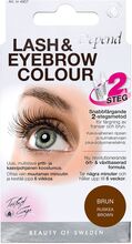 Lash/Eyebrow Col. Brown Se/Fi Beauty Women Makeup Eyes Eyebrows Eyebrow Colour Nude Depend Cosmetic