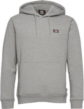 Oakport Hoodie Designers Sweat-shirts & Hoodies Hoodies Grey Dickies